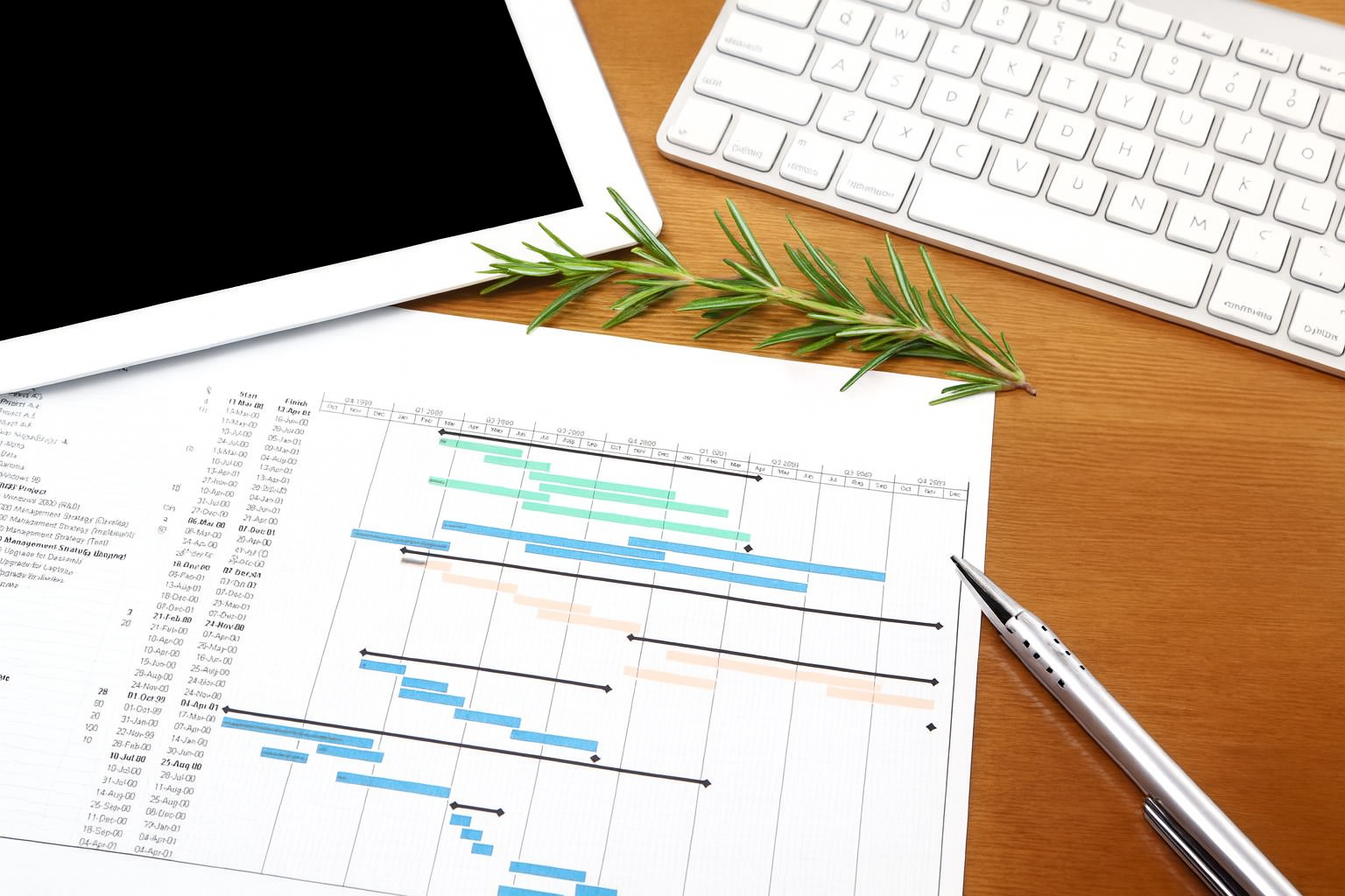 Conseil_Assistance_technique_sur_Microsoft_Project